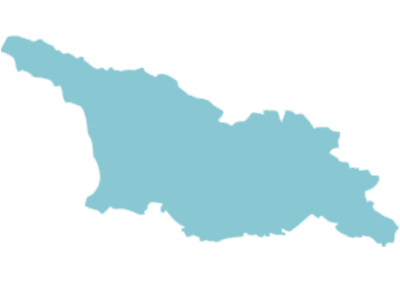 Legal impact assessment, drafting and representation in Georgia